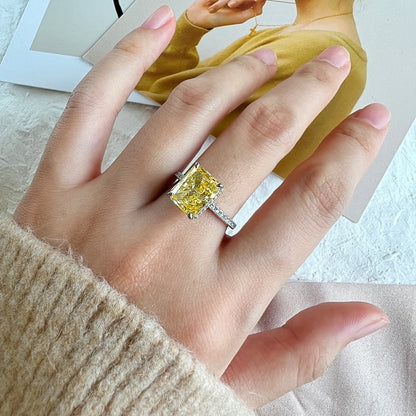 [Aurelle Style]4.0 Carat Luxurious Engagement Ring